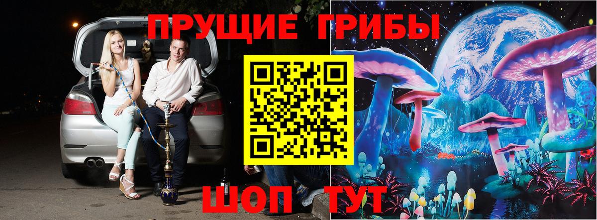 Зеленогорск  Галлюциногенные грибы прущие грибы  Вход с VPN 