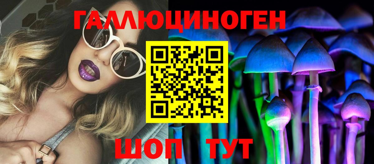 Псилоцибиновые грибы GOLDEN TEACHER Зеленогорск